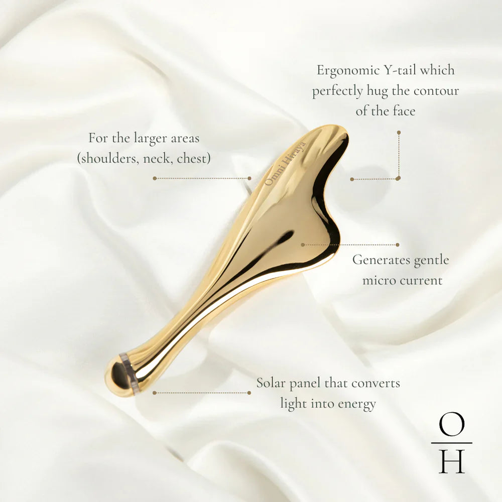 Ginto Face Sculpting Tool by Omni Hiraya